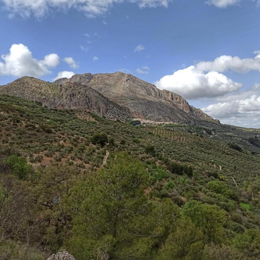 Casa La Oliva Villa Albanchez de Ubeda Bagian luar foto